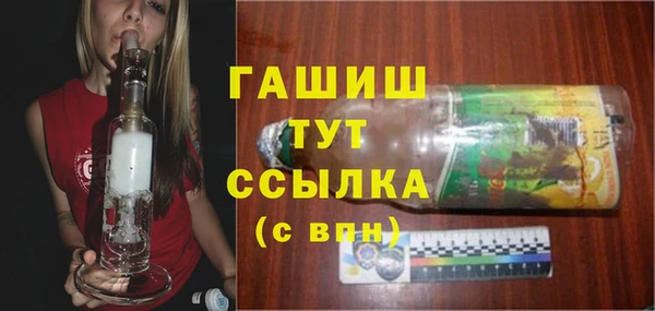 прущие грибы Белокуриха