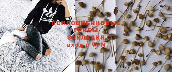 эйфоретик Богородицк