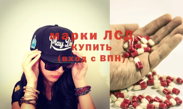 прущие грибы Белокуриха