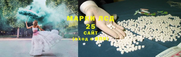прущие грибы Белокуриха